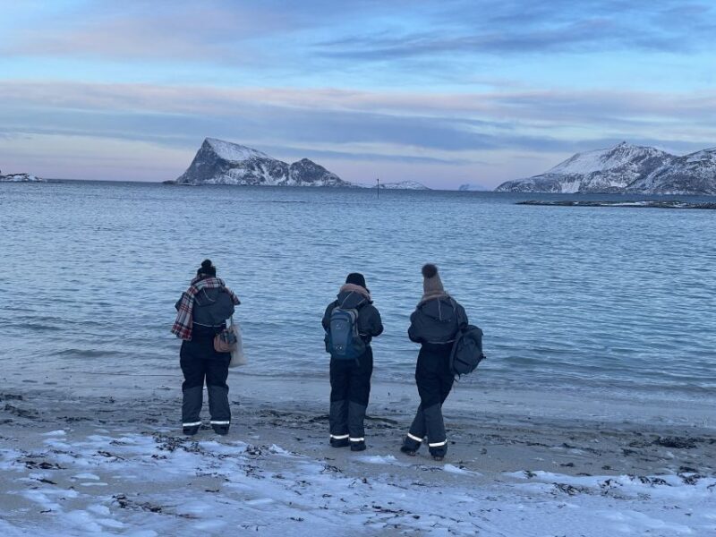 Tromsø: Arctic fjord sightseeing, Reindeer feeding and lunch - FAQ