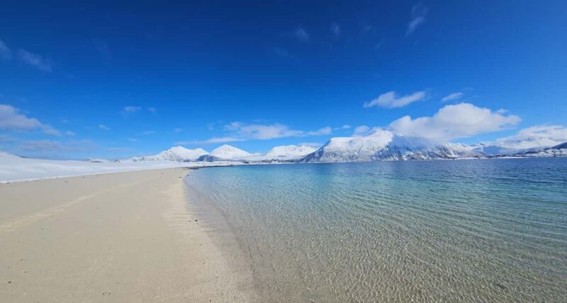 Tromsø: Arctic Fjords Tour. Sommerøya and Kvaløya with Lunch - Key Points