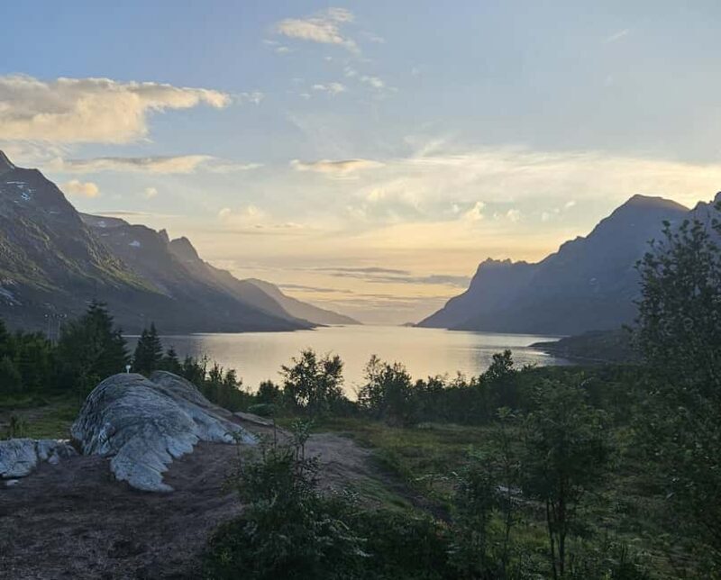 Tromsø: Arctic Fjords Tour. Sommerøya and Kvaløya with Lunch - What Travelers Say