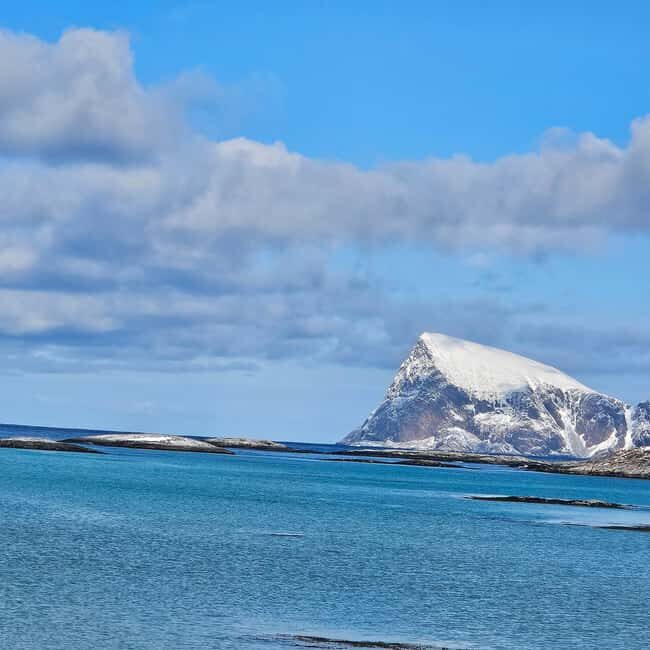 Tromsø: Arctic Fjords Tour. Sommerøya and Kvaløya with Lunch - Should You Book This Tour?