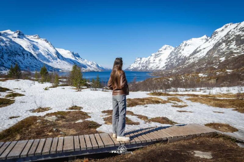 Tromsø: Arctic Fjords Tour to Kvaløya with Panoramic Lunch - Discovering Tromsø’s Arctic Wilderness