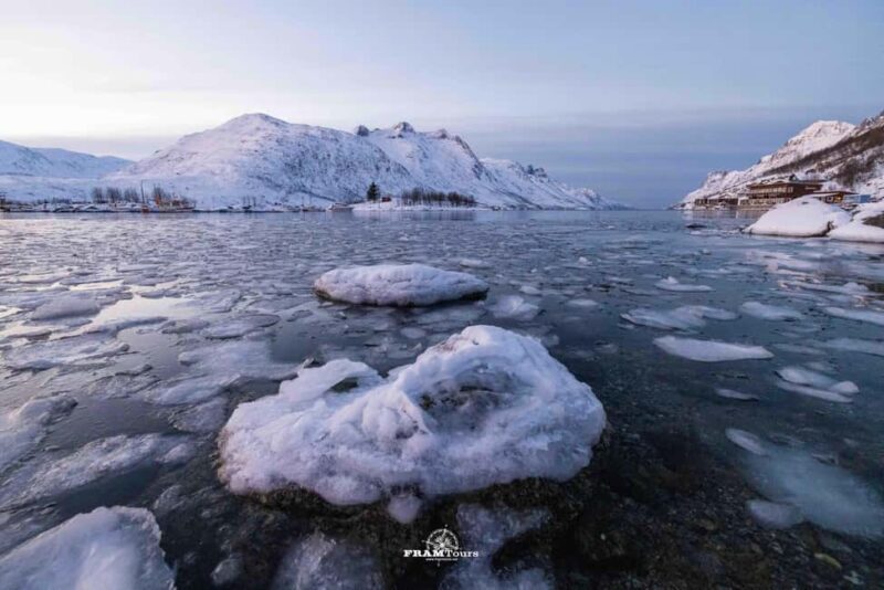 Tromsø: Arctic Fjords Tour to Kvaløya with Panoramic Lunch - FAQ