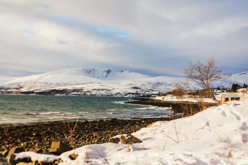 Tromsø: Arctic Landscape and Fjord Tour with Snacks - FAQ