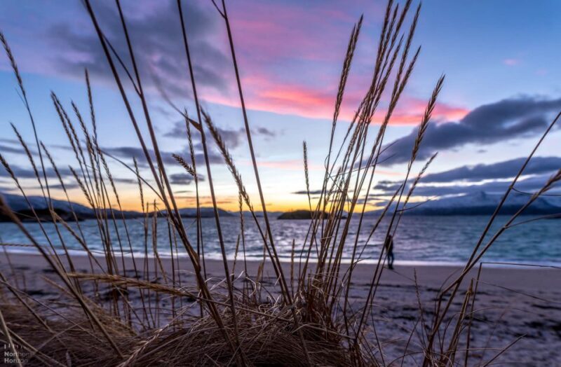 Tromsø: Arctic Nature Roadtrip with Photos & Scenic Lunch - The Starting Point: Magic Ice Bar Tromsø