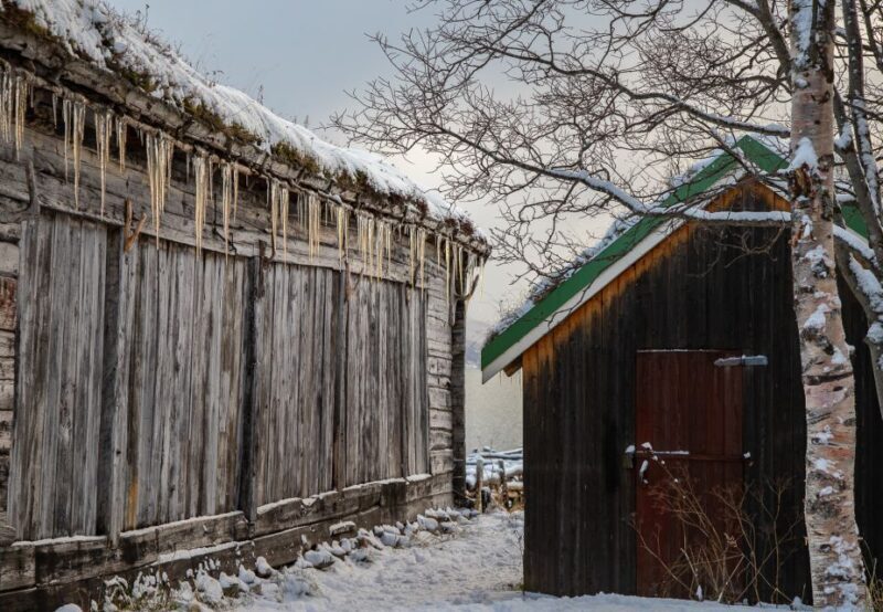 Tromsø: Arctic Nature Roadtrip with Photos & Scenic Lunch - Comfort and Practicalities: Staying Warm Outside