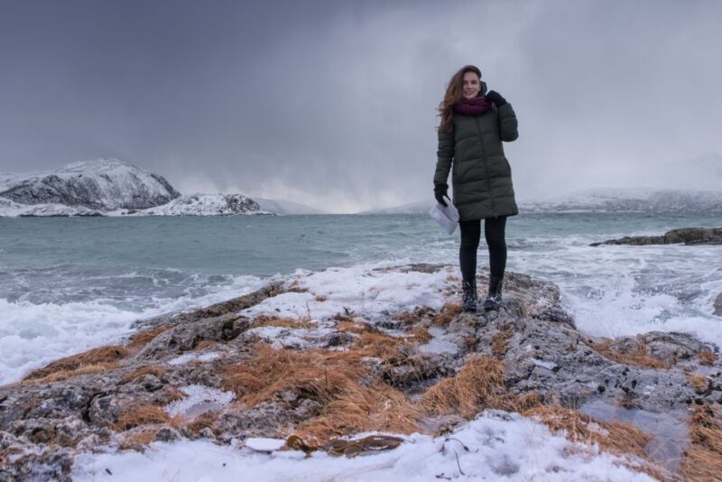 Tromsø: Arctic Nature Roadtrip with Photos & Scenic Lunch - Who Will Love This?