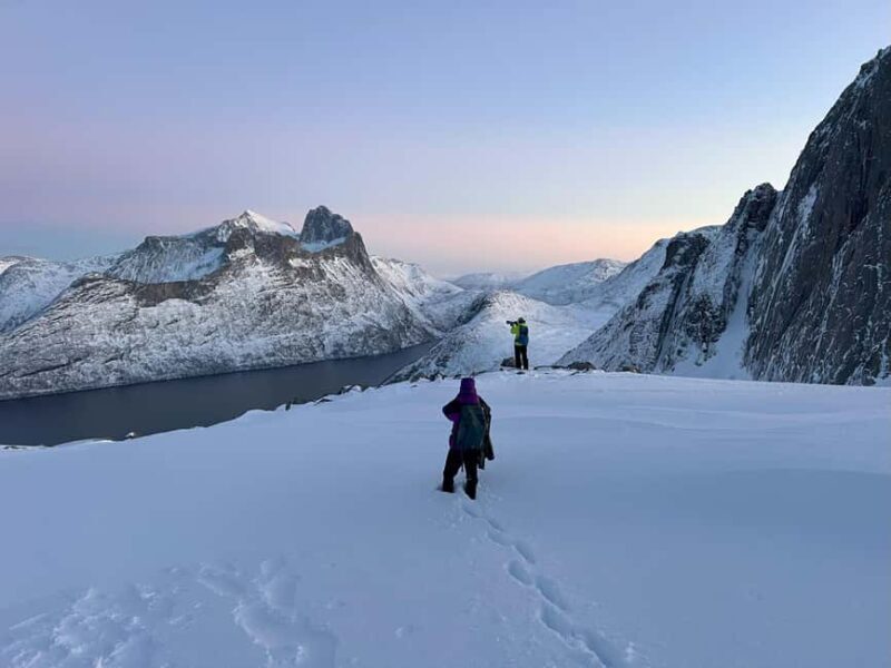 Tromsø: Arctic Sightseeing & Snowshoeing with picnic - Key Points