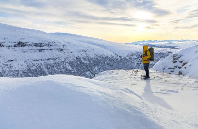 Tromsø: Arctic Sightseeing & Snowshoeing with picnic - The Practicalities: Is it Worth the Price?