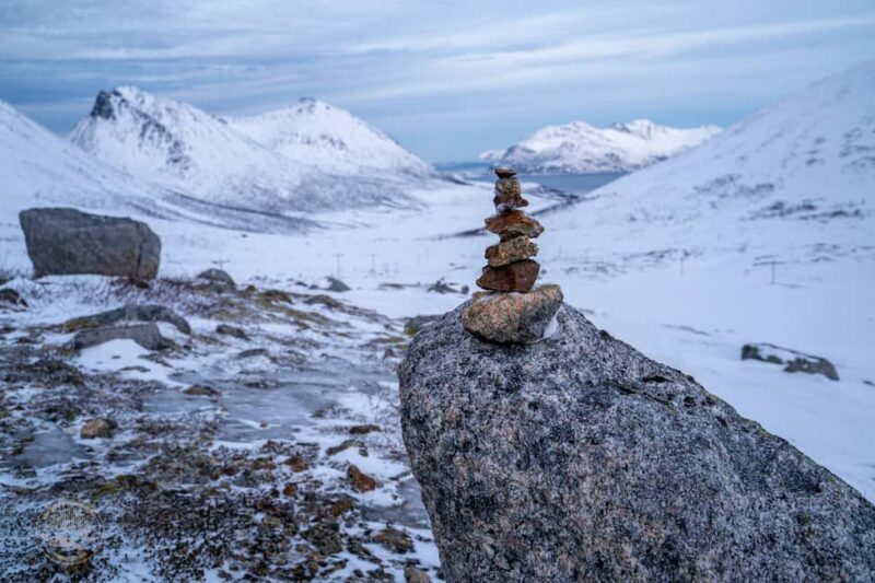 Tromsø: Arctic Sightseeing & Snowshoeing with picnic - Final Thoughts: Who Will Love This Tour?