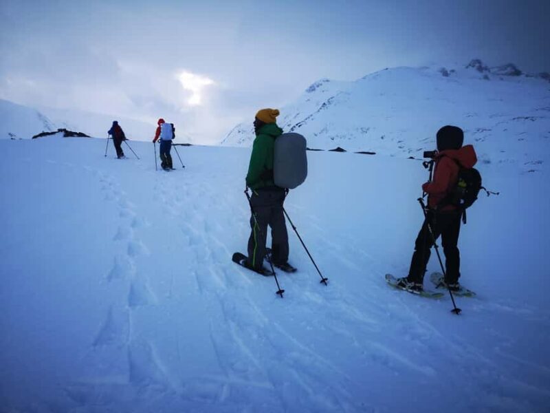 Tromsø: Arctic Snowshoeing Experience - Key Points