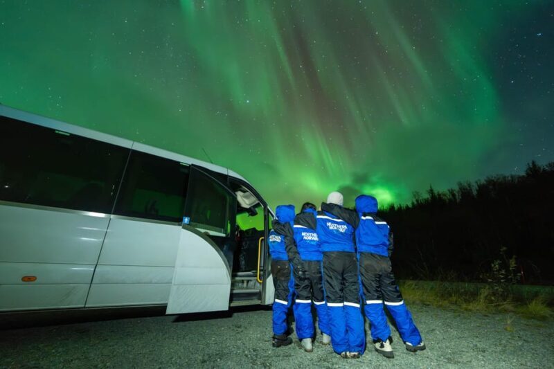 Tromsø: Aurora Borealis, Campfire, Hot Meal, Arctic Tour - What to Expect from the Tromsø Aurora Borealis Tour