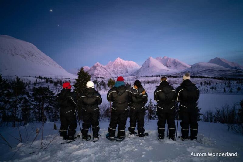 Tromsø: Aurora Crystal Lavvo Overnight Stay with Activities - Who Will Love This Tour?