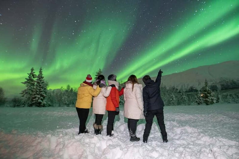 Tromsø: Aurora Safari Chase with Photo - The Experience Breakdown