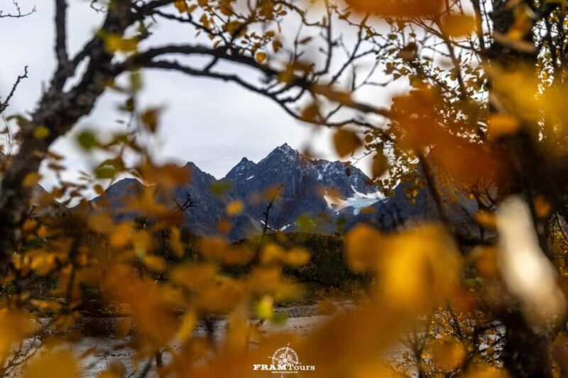 Tromsø: Authentic Lyngen Alps expedition with scenic lunch - Who Should Consider This Tour?