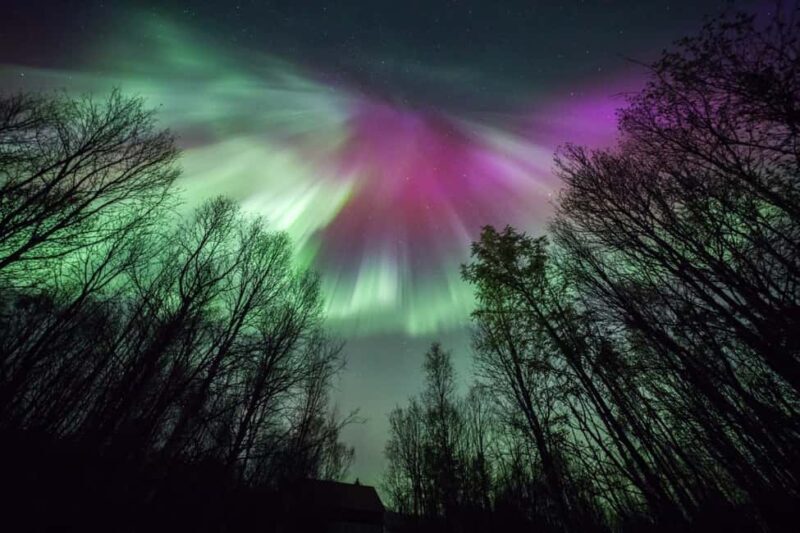 Tromsø: Big Bus Northern Lights Tour with Free Photos - FAQ