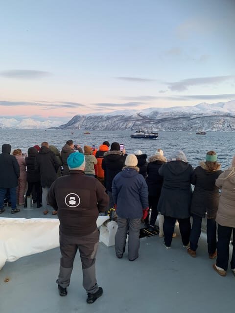 Tromsø Catamaran Whale Watching - FAQ