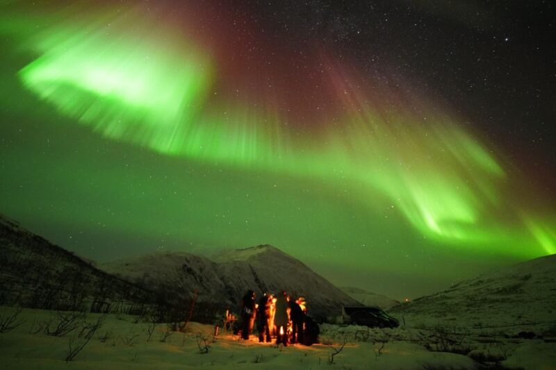 Tromsø: Chase Aurora in Minibus and Free Aurora Portrait - Is This Tour Right for You?