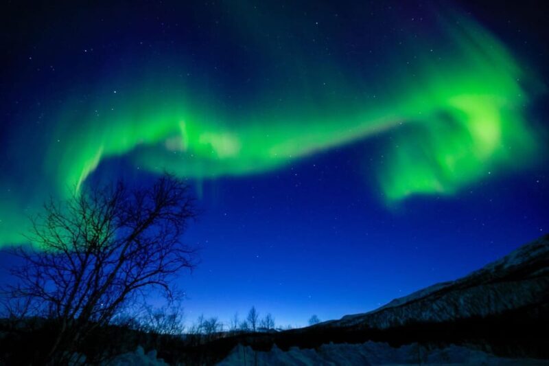 Tromsø Chinese Aurora Tour - Who Should Consider This Tour?