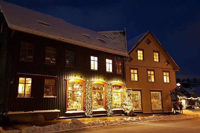 Tromsø City Walk - Who Should Consider This Tour?