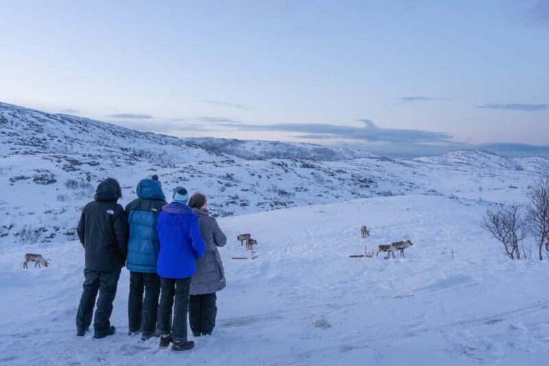 Tromsø: Divas Hit the Road 7 inspired Fjord Tour in Chinese - Who Is This Tour Best For?