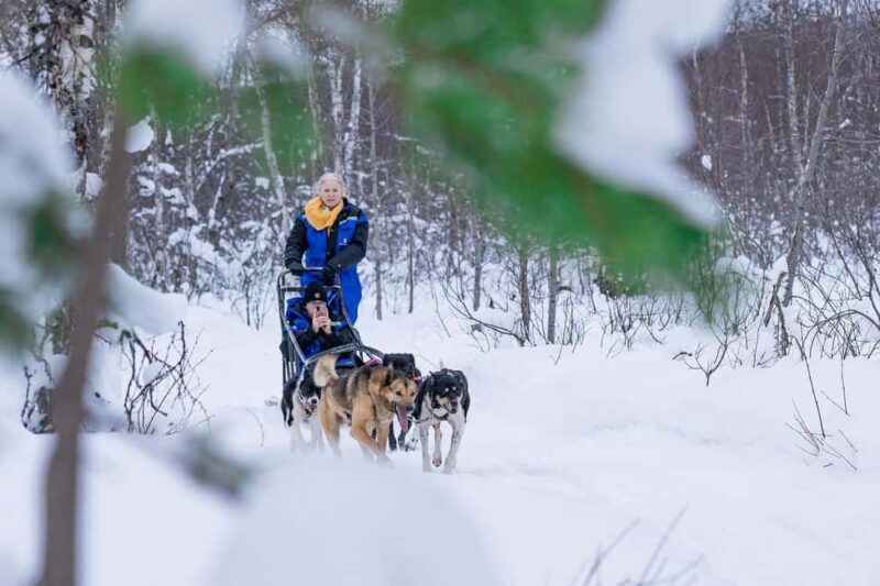 Tromsø: Dog Sledding Adventure at Camp Aspemo - Who Is This Tour Best For?