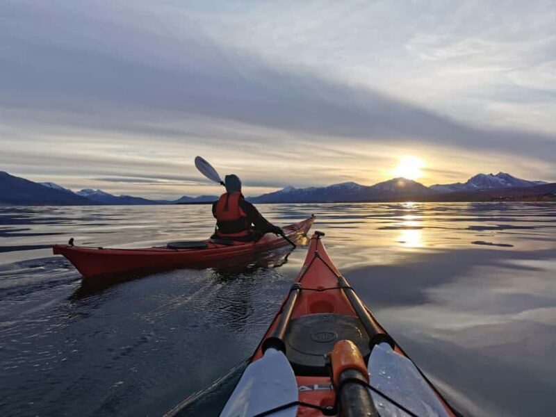 Tromsø: Easy-going Guided Winter Sea Kayaking Tour - Key Points