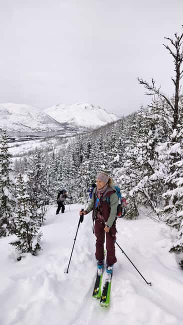 Tromsø: Easy Ski/Randonnee Guided Tour - Exploring Tromsøs Skiing Landscape
