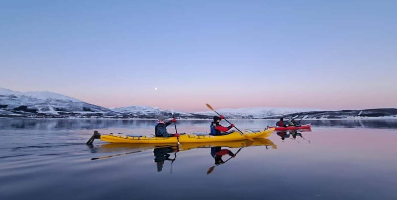 Tromsø: Easy Winter Kayaking Tour with Seal Watching - An In-Depth Look at the Experience