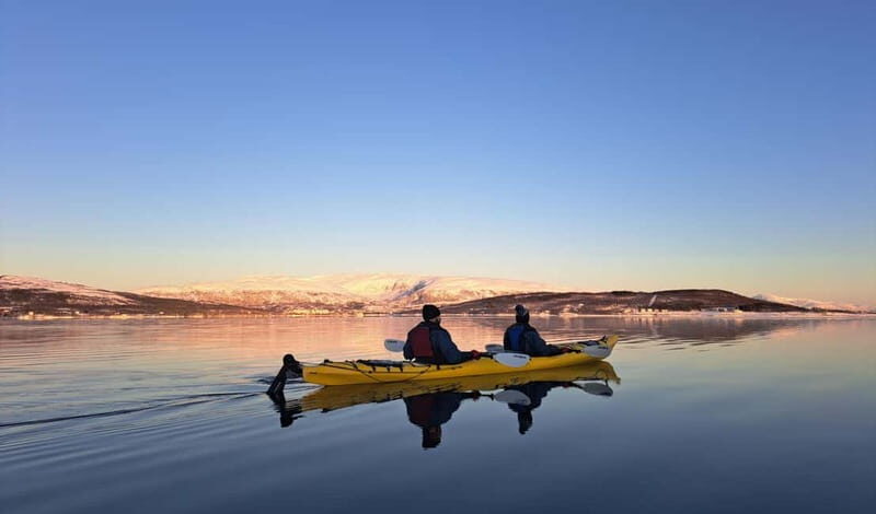 Tromsø: Easy Winter Kayaking Tour with Seal Watching - Who Will Love This Tour?