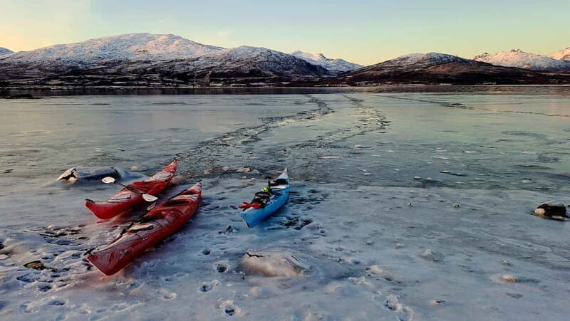 Tromsø: Easy Winter Kayaking Tour with Seal Watching - Final Thoughts