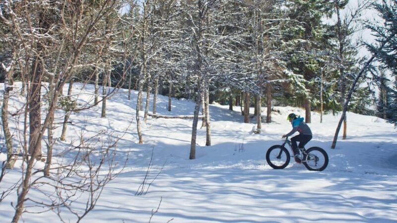 Tromsø: Electric fatbike trip on winter paths - What This Tour Involves