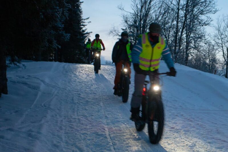 Tromsø: Electric fatbike trip on winter paths - The Value of This Experience