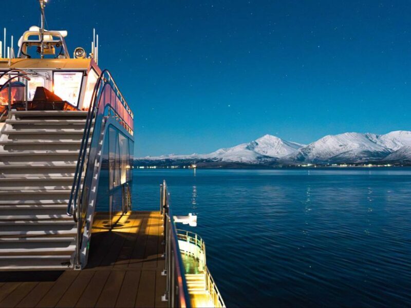 Tromsø: Electric Northern Lights Cruise - The Experience: What You Can Expect