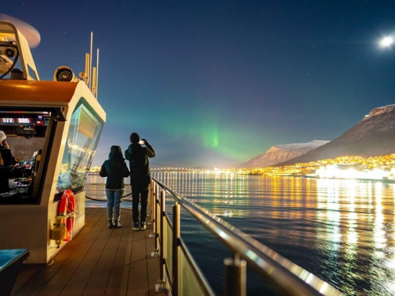 Tromsø: Electric Northern Lights Cruise - Who Should Consider This Tour?