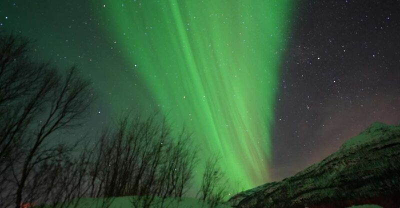 Tromsø: English/Spanish Aurora Pathfinder Tour with Photos - The Experience in Detail