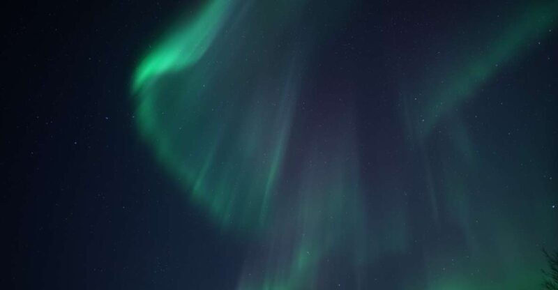 Tromsø: Evening Cruise with Northern Lights Opportunity - Key Points