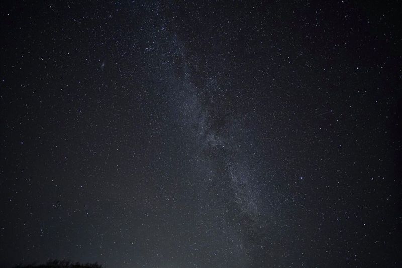 Tromsø: Evening Aurora Cruise (dinner optional) - Chances, Timing, and the Policy If the Aurora Doesn’t Appear