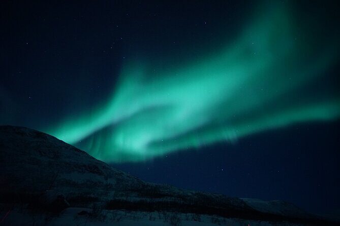 Tromsø: Evening Cruise with Northern Lights Opportunity - Key Points: