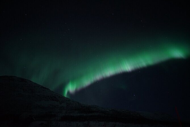 Tromsø: Evening Cruise with Northern Lights Opportunity - The Experience in Detail