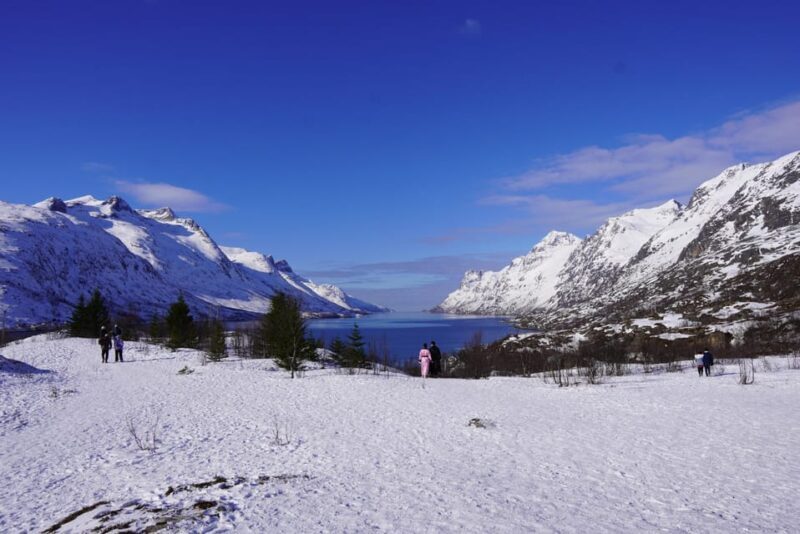 Tromsø: Exclusive Fjord Adventure by Bus - Key Points