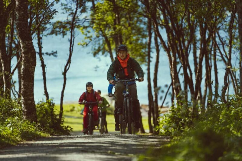 Tromsø: Explore Tromso by E-bike - What the Tour Covers: A Closer Look at the Itinerary