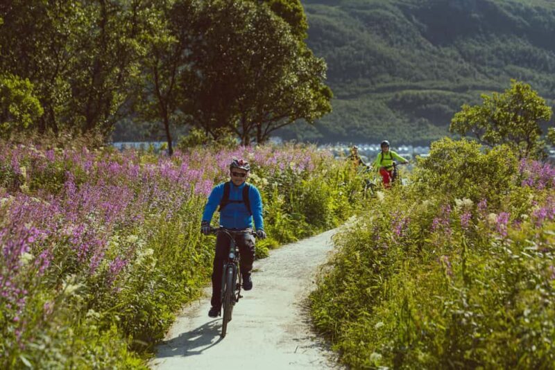 Tromsø: Explore Tromso by E-bike - Final Thoughts