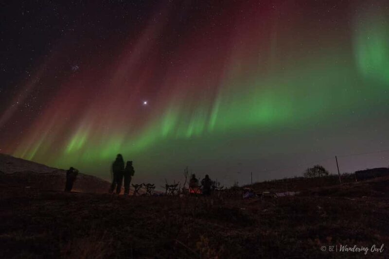 Tromsø: Express Aurora Hunt - What To Expect from the Tromsø: Express Aurora Hunt