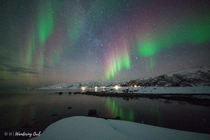 Tromsø: Express Aurora Hunt with Wandering Owl - What Is the Tromsø: Express Aurora Hunt with Wandering Owl?