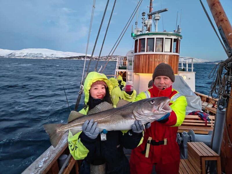 Tromsø: Fishing & Fjord Cruise - Key Points