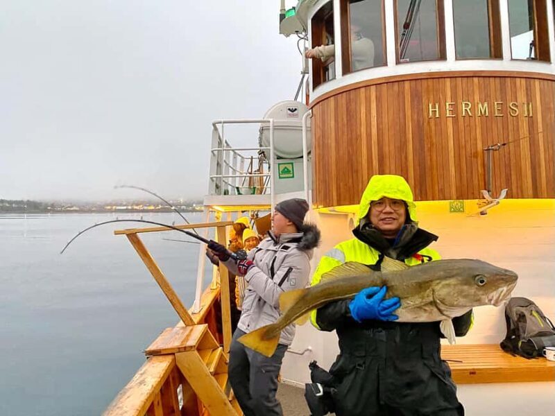Tromsø: Fishing & Fjord Cruise - Discovering Tromsø’s Coastal Charm