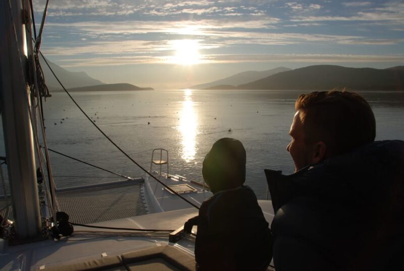 Tromsø: Fjord and Islands Luxury Catamaran Cruise - What to Expect from the Tromsø Catamaran Cruise