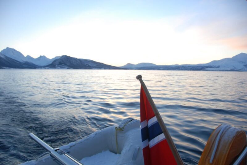 Tromsø: Fjord and Islands Luxury Catamaran Cruise - Who Will Love This Tour?