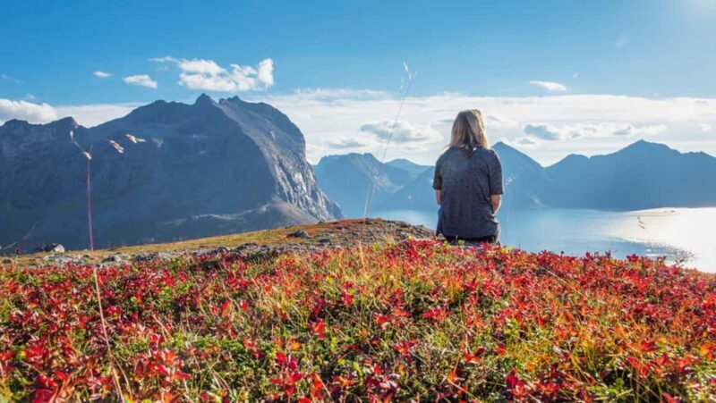 Tromso: Fjord Arctic Adventure Expedition - Key Points