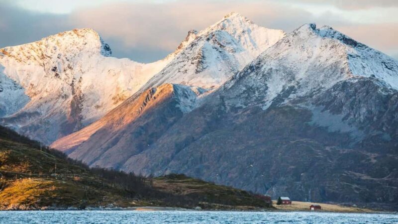 Tromso: Fjord Arctic Adventure Expedition - Why You’ll Love the Tromso Fjord Arctic Adventure